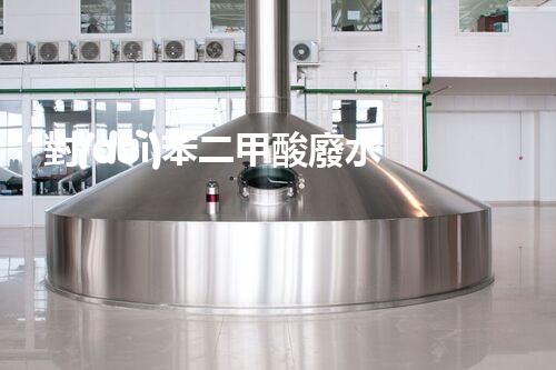 “對(duì)苯二甲酸廢水處理，綠色創(chuàng)新引領(lǐng)環(huán)保新篇章”